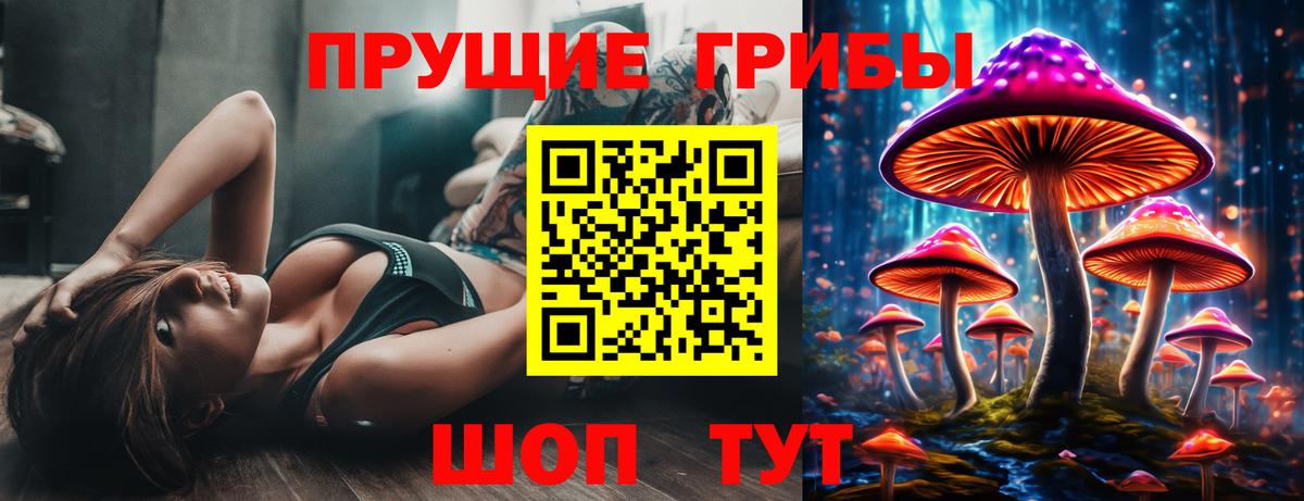 купить   Вход с VPN  Нижнекамск  Псилоцибиновые грибы ЛСД  Псилоцибиновые грибы Psilocybe 